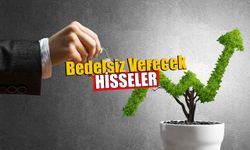 2021 Bedelsiz Verecek Hisseler