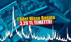 1 Adet Hisse Başına 3,20 TL Rekor Temettü Verecek