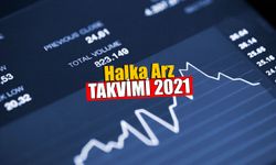 Halka Arz Takvimi 2021