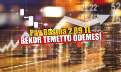 Pay Başına 2,89 TL Rekor Nakit Temettü Ödemesi Yapacak