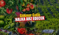 Göknur Gıda Halka Arz Edecek