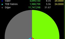 Halka Arzda Şaşırtan Pay Dağıtımı