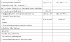 Yüzde 2 Bin 248 Temettü Dağıtımı Yapacak