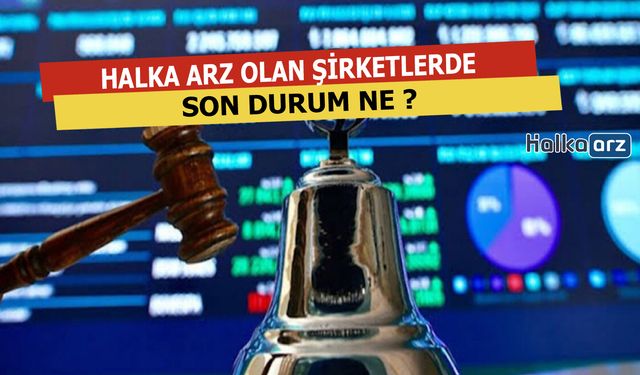 Halka Arz Olan Şirketlerde Son Durum Ne ?