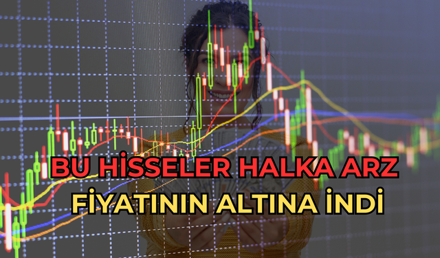 Bu Hisseler Halka Arz Fiyatının Altına İndi