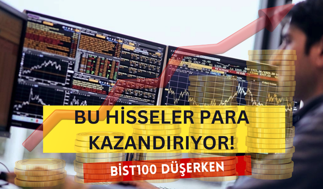 Borsa Düşerken Bu Hisseler Yatırımcılarına Para Kazandırmaya Devam Ediyor!