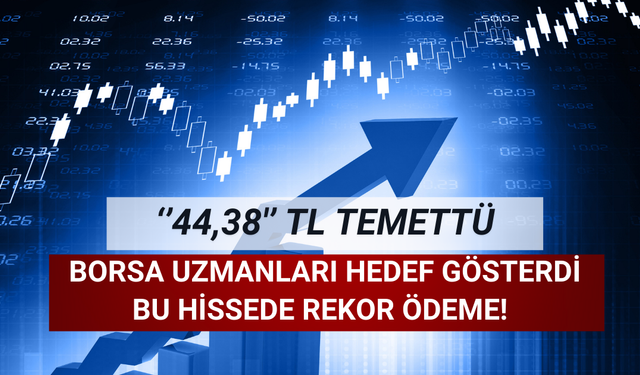 Borsa Uzmanları İşaret Etti: Hisse Başına ''44,38'' TL Temettü!