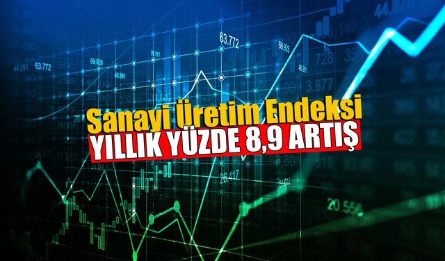 Sanayi Üretim Endeksi Yıllık Artarken, Aylık Bazda Azaldı