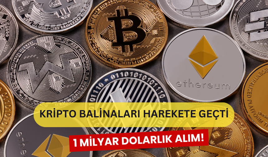 Kripto Balinaları Harekete Geçti! Bu Coinlerde 1 Milyar Dolarlık Alım Yapıldı