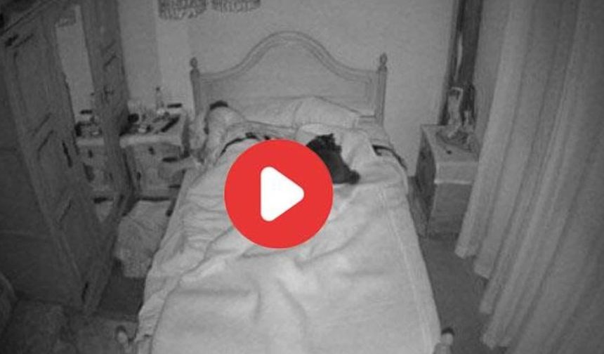 Vidéo Pendant que l’homme était au travail, une caméra cachée a filmé sa femme et son chien