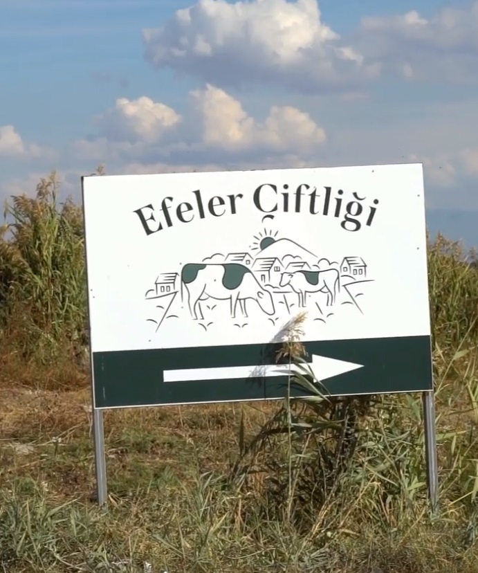 efeler çiftliği arz-1