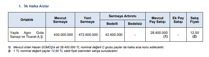 spk yayla gıda halka arz