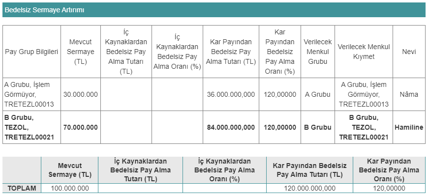 tezol sermaye tablo