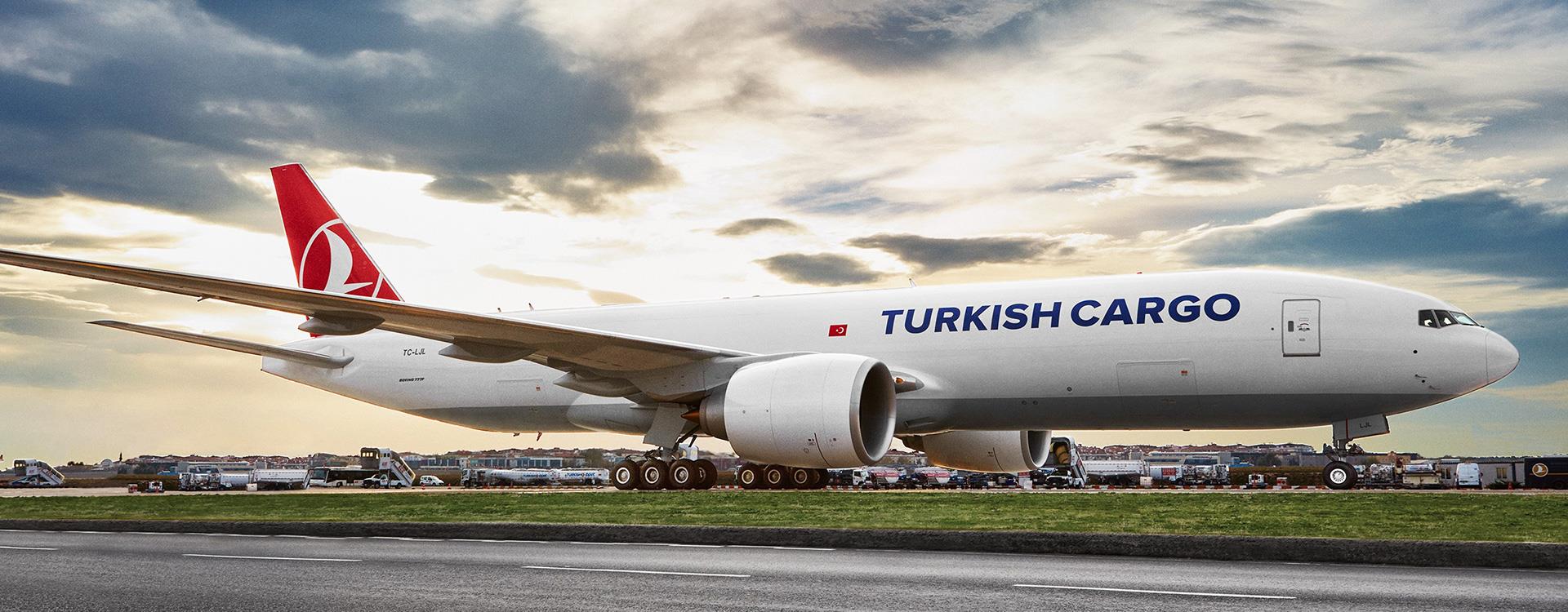 turkish cargo halka arz