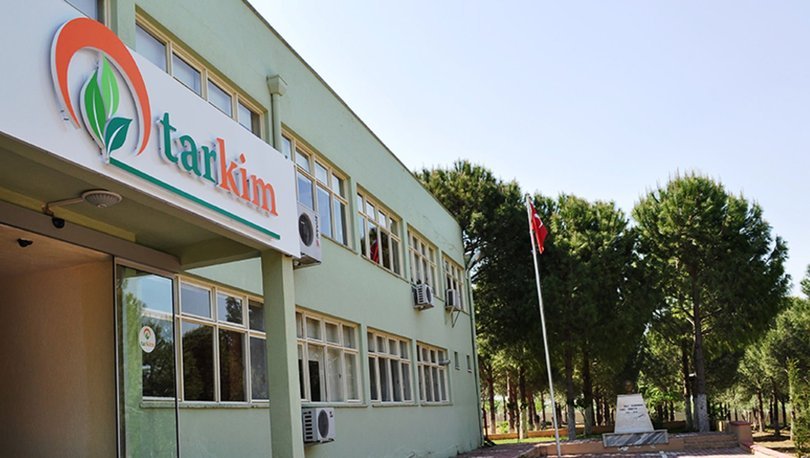 tarkim bitki