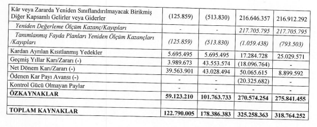 negmar bilanço 2