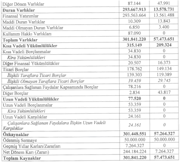 finansal 2