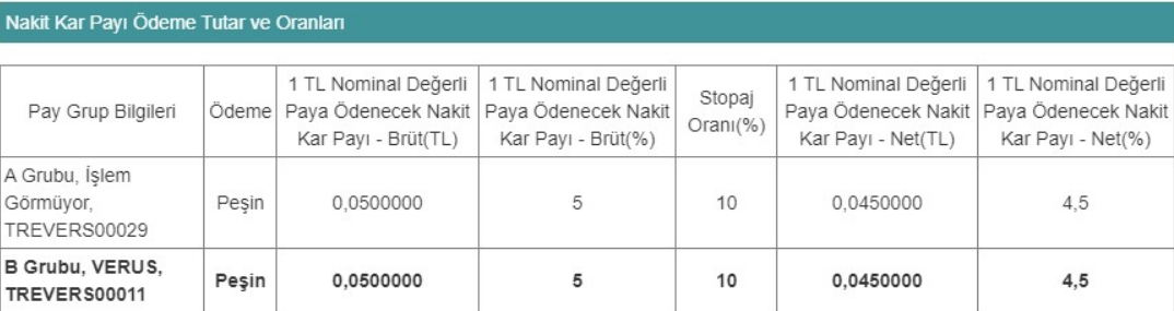 nakit-temettu-verus-holding