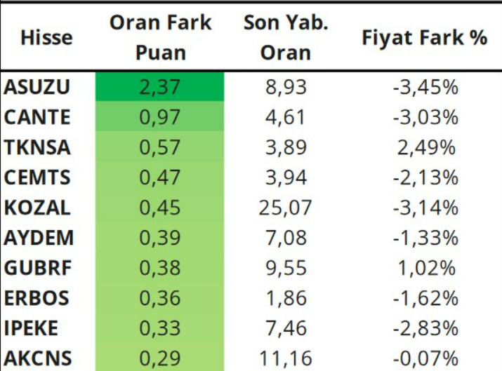 yabanci-yatirimci-3